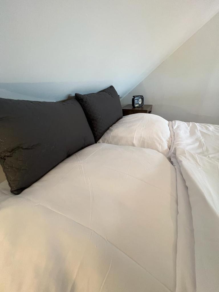 Unique Oldtown / Loft Apartment Nürnberg